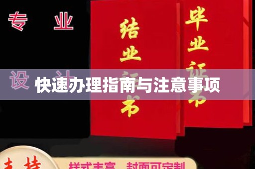 道县快速办理指南与注意事项